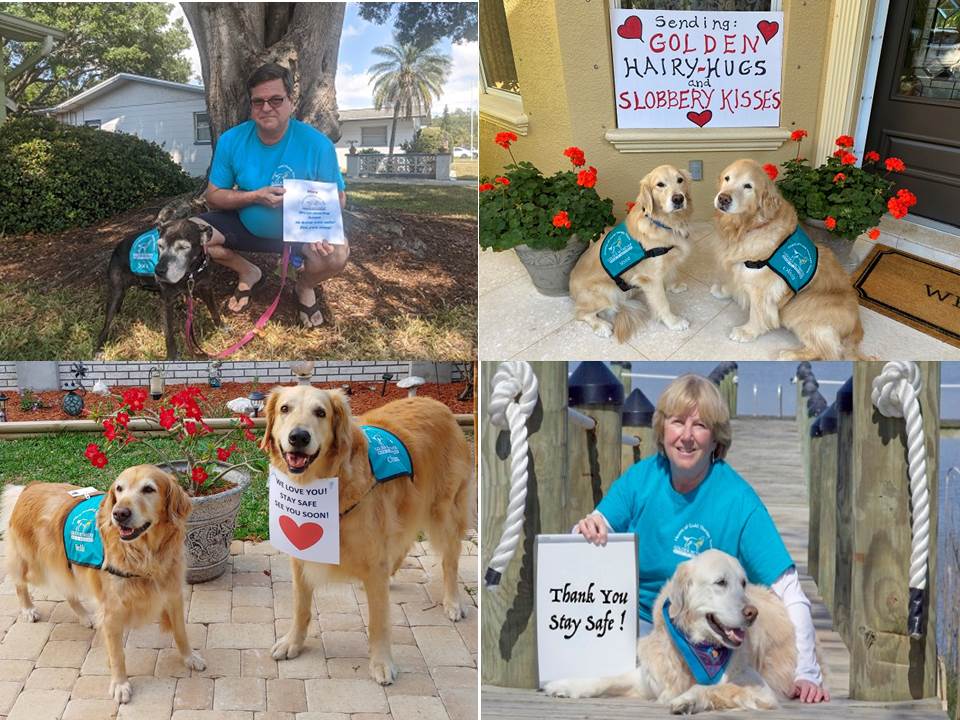 Hearts of Gold Messages Golden Retriever Rescue of Mid Florida