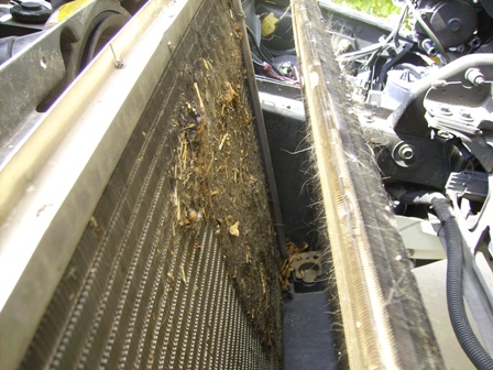 cleaning trash out of the radiator fins | Grumpys Performance Garage
