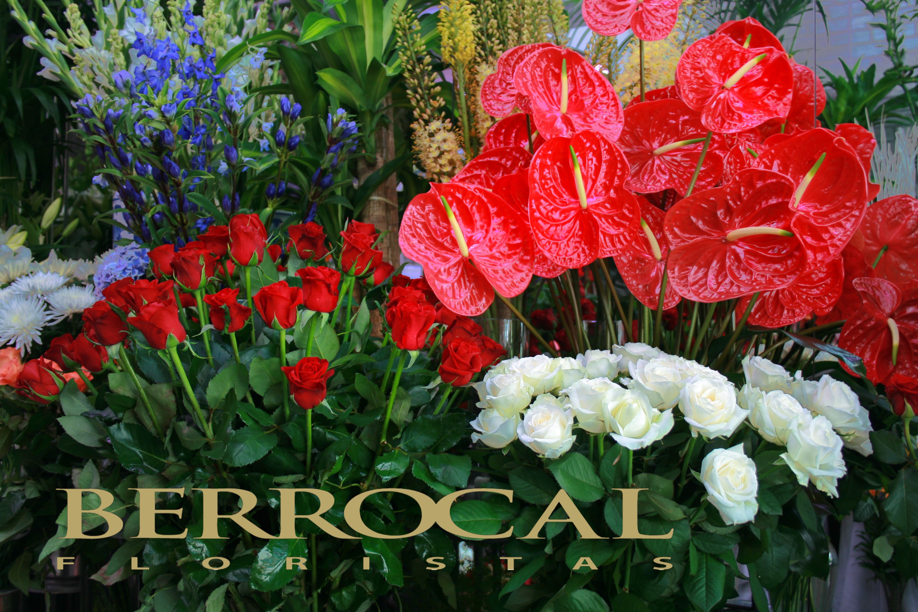 Florist in Marbella Flowers shop Berrocal Buy flowers delivery in Marbella