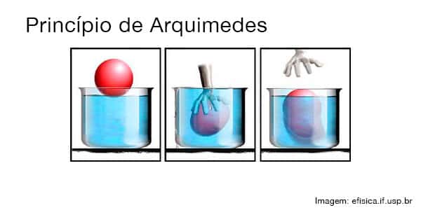 Princípio de Arquimedes Física Grupo Escolar