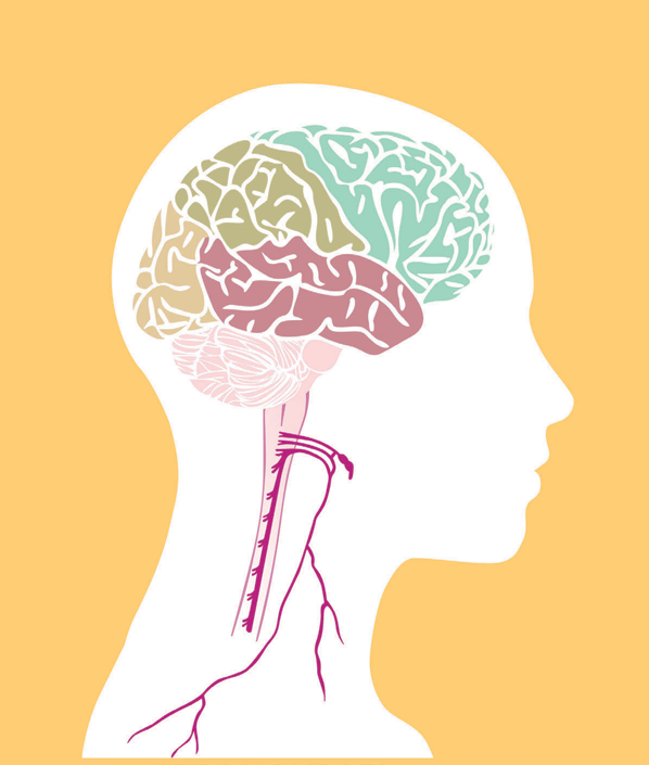 Vago Il Mio Nervo più Importante Libro Brossura cm 19,4x23,5 di