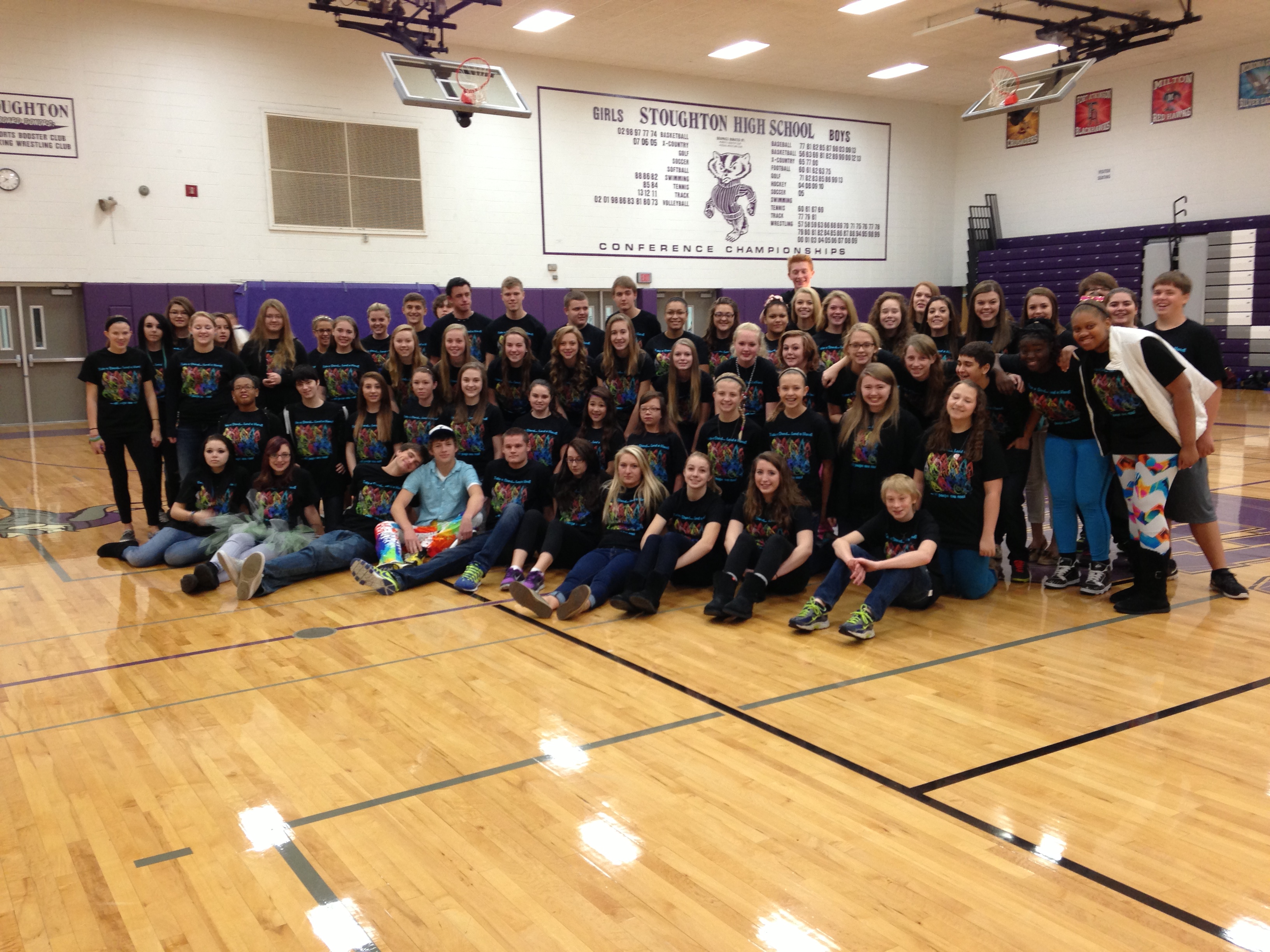 Stoughton High School GSAFE