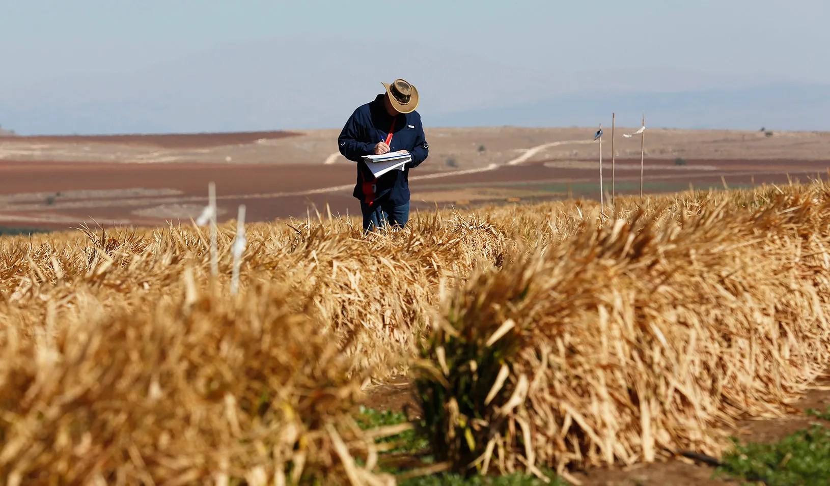 Everything That Can Go Wrong in a Field Experiment (and What to Do