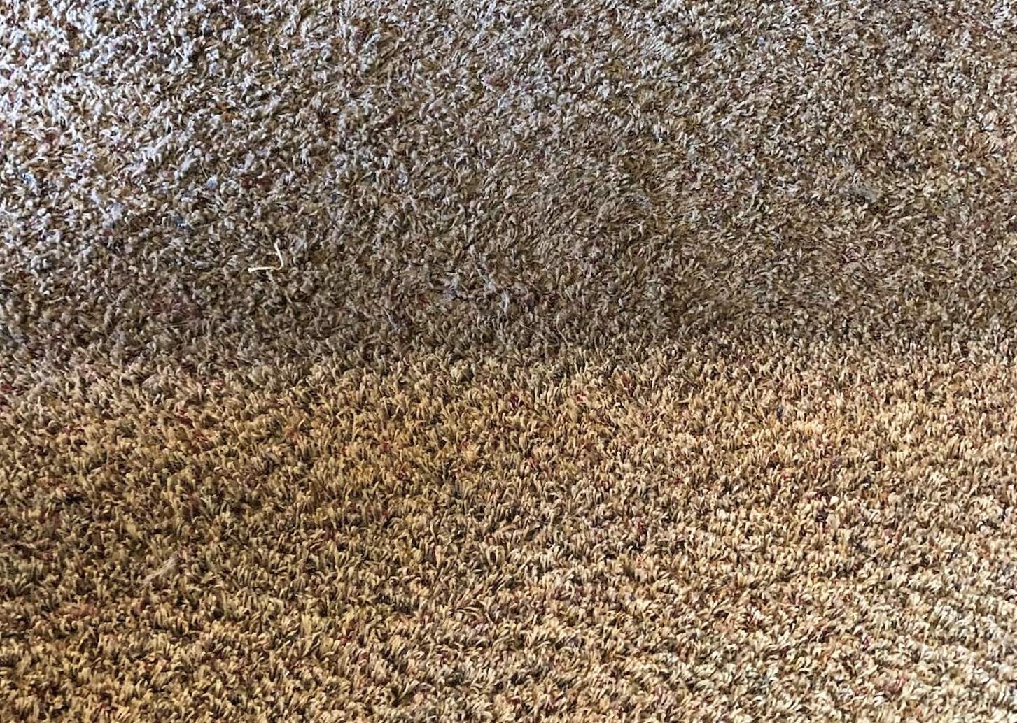 Carpet Cleaning in Fontana, CA Golden State ChemDry of Upland/Rancho