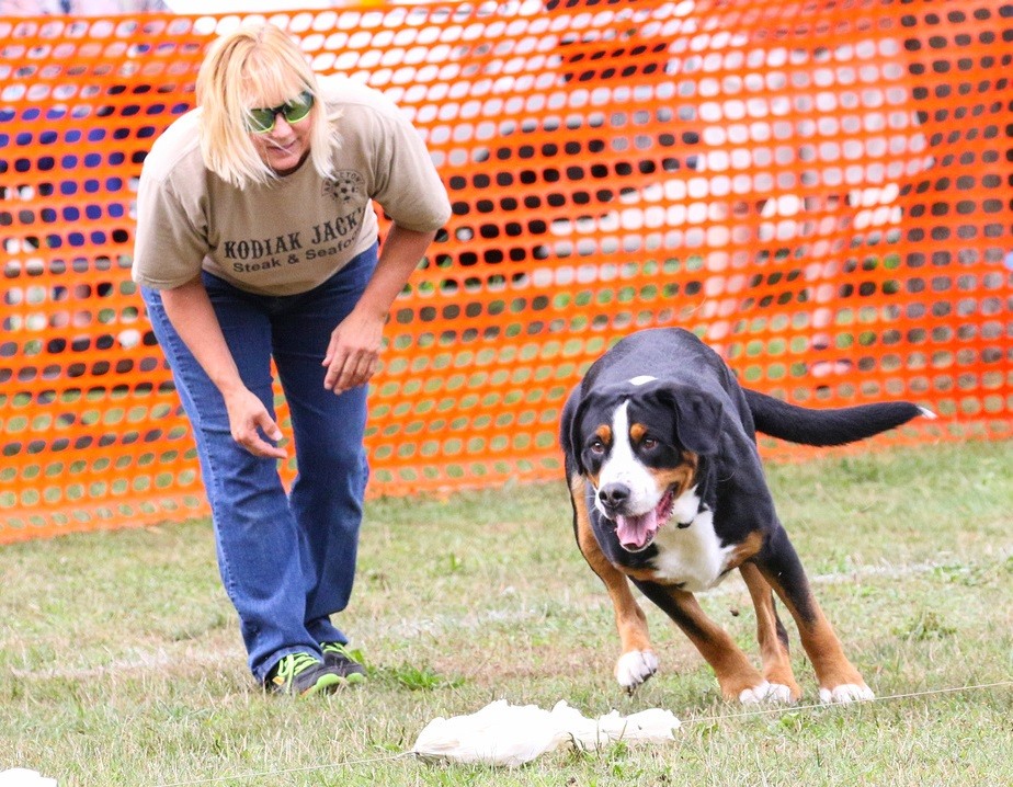 OTHER AKC ACTIVITIES GSMDCA