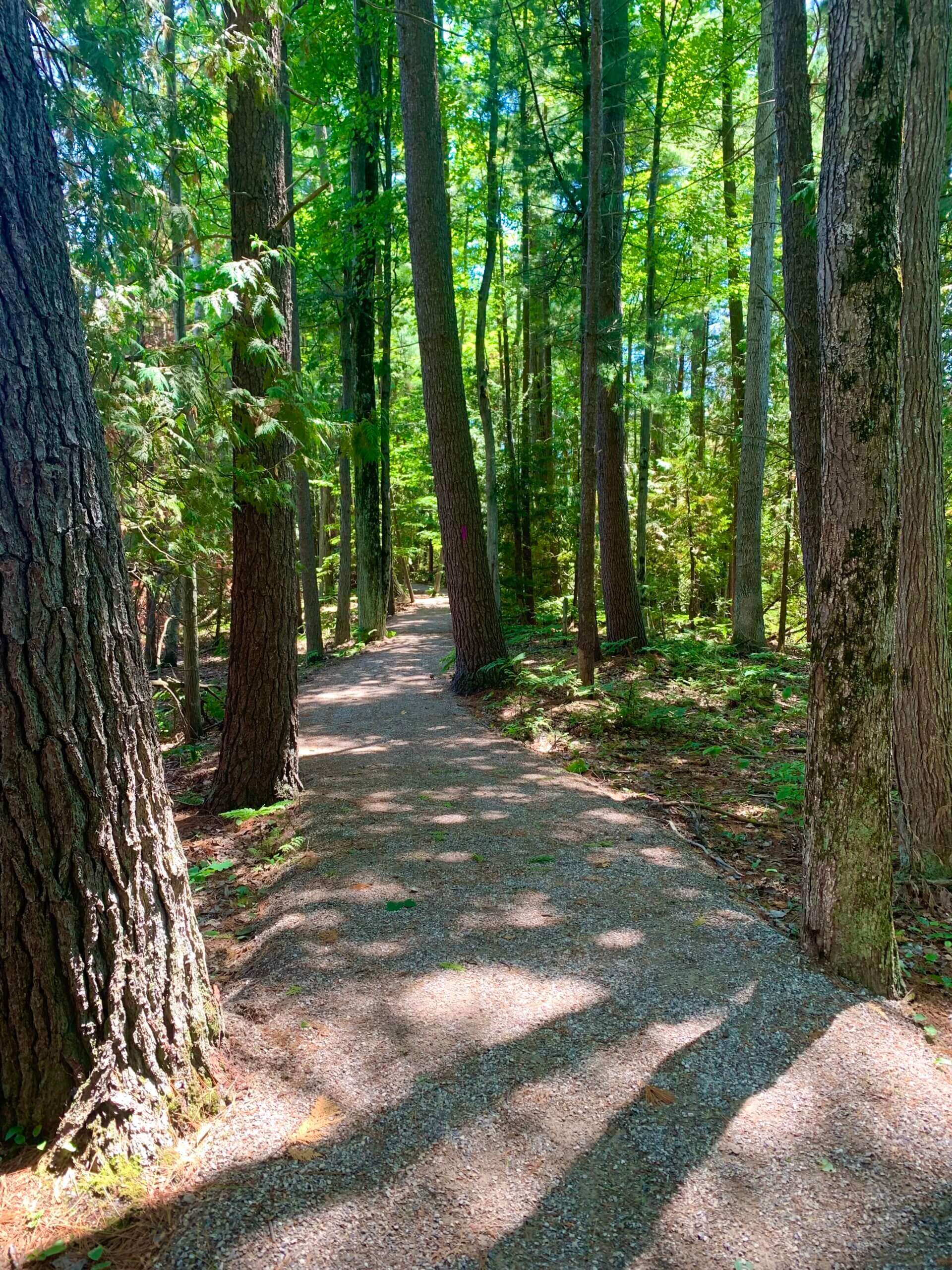Pyatt Lake The Bill Carls Nature Preserve Trail and Access