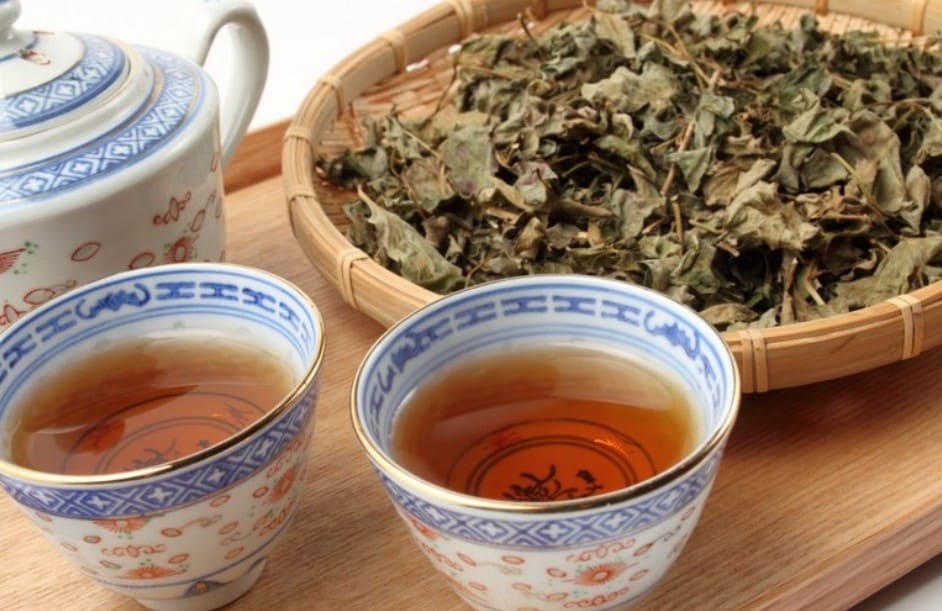 肝臓に良いお茶・飲み物【厳選】4選 趣味なび