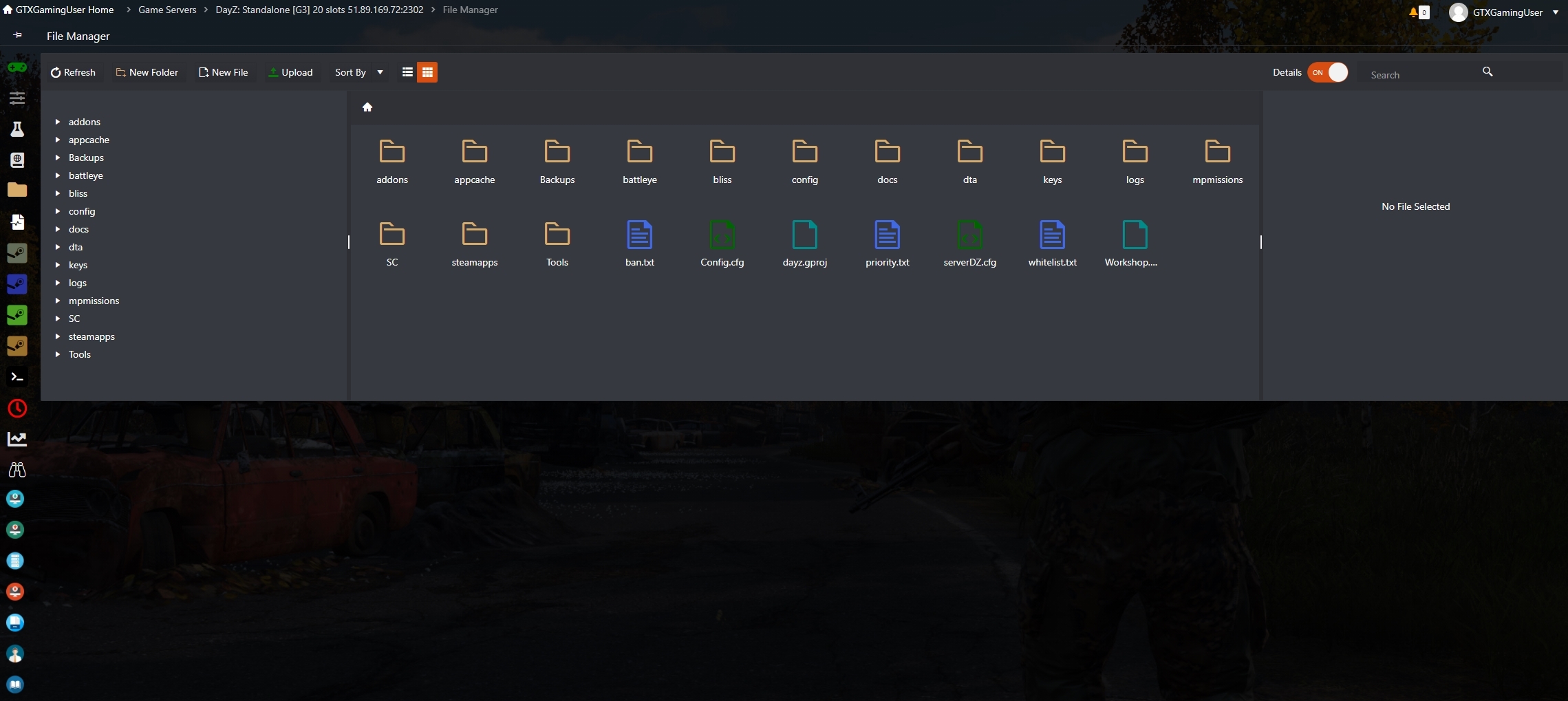 DayZ Standalone Server Hosting Rent Standalone Servers
