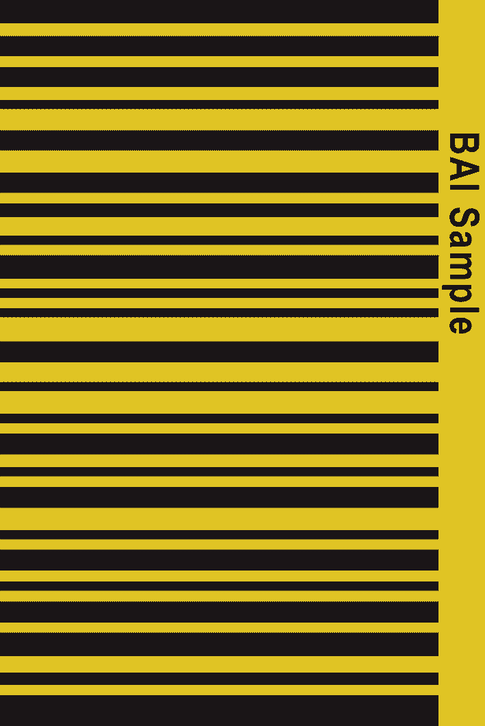 BAi Barcode Decals Car Barcode Sticker MiamiBroward
