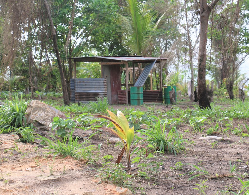 Sinanan No compensation for squatters Trinidad Guardian