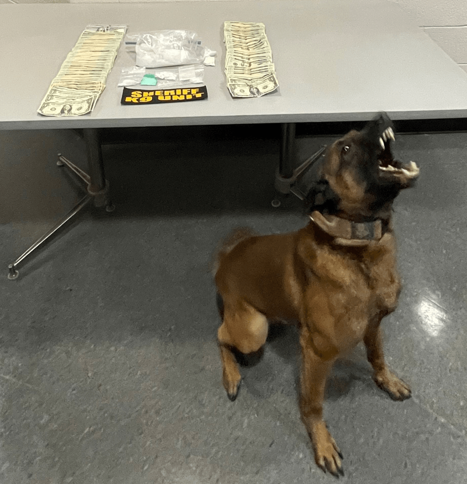 Large Drug Seizure By The Guernsey County Sheriff’s Office Guernsey