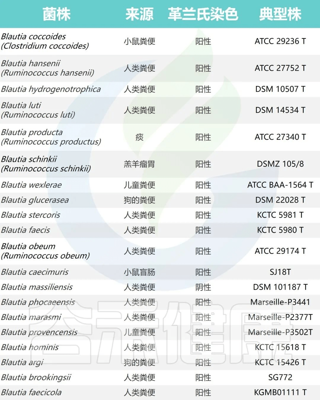 肠道核心菌属——经黏液真杆菌属（Blautia），炎症肥胖相关的潜力菌 谷禾健康