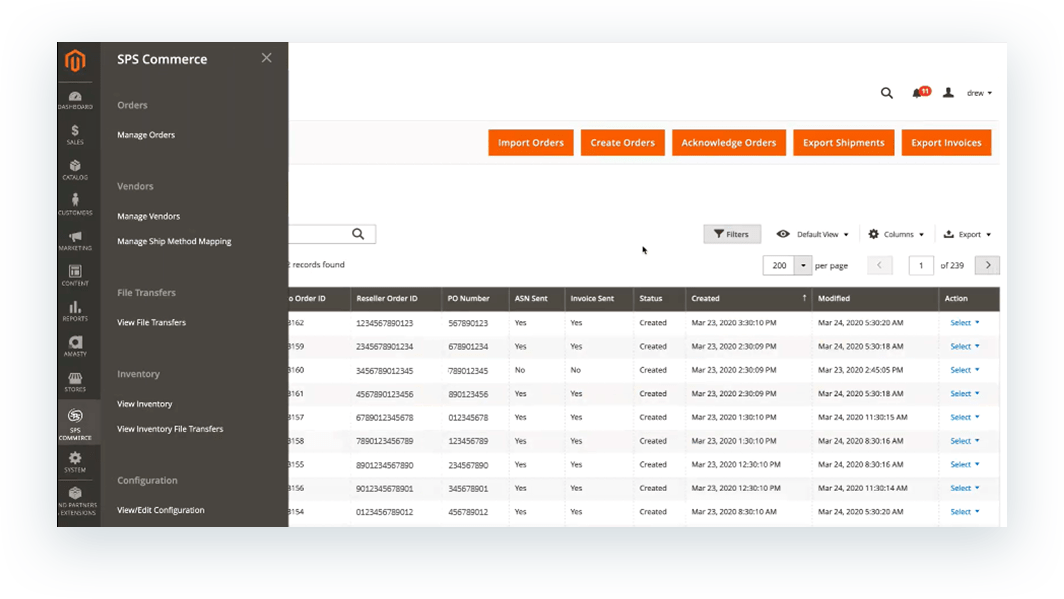 City Chic Case Study Guidance