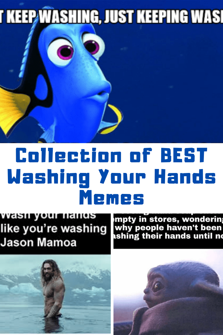 BEST Wash Your Hands Memes Of The Guide For Geek Moms