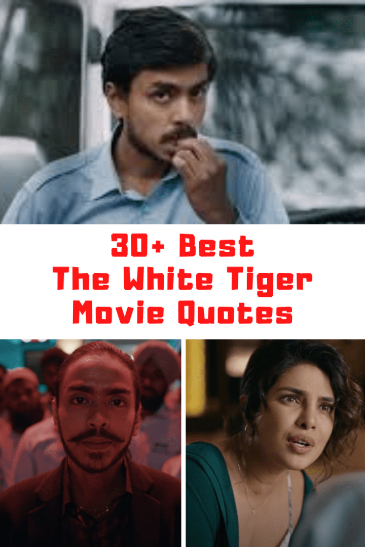 30+ Of The Best THE WHITE TIGER Movie Quotes Guide For Geek Moms