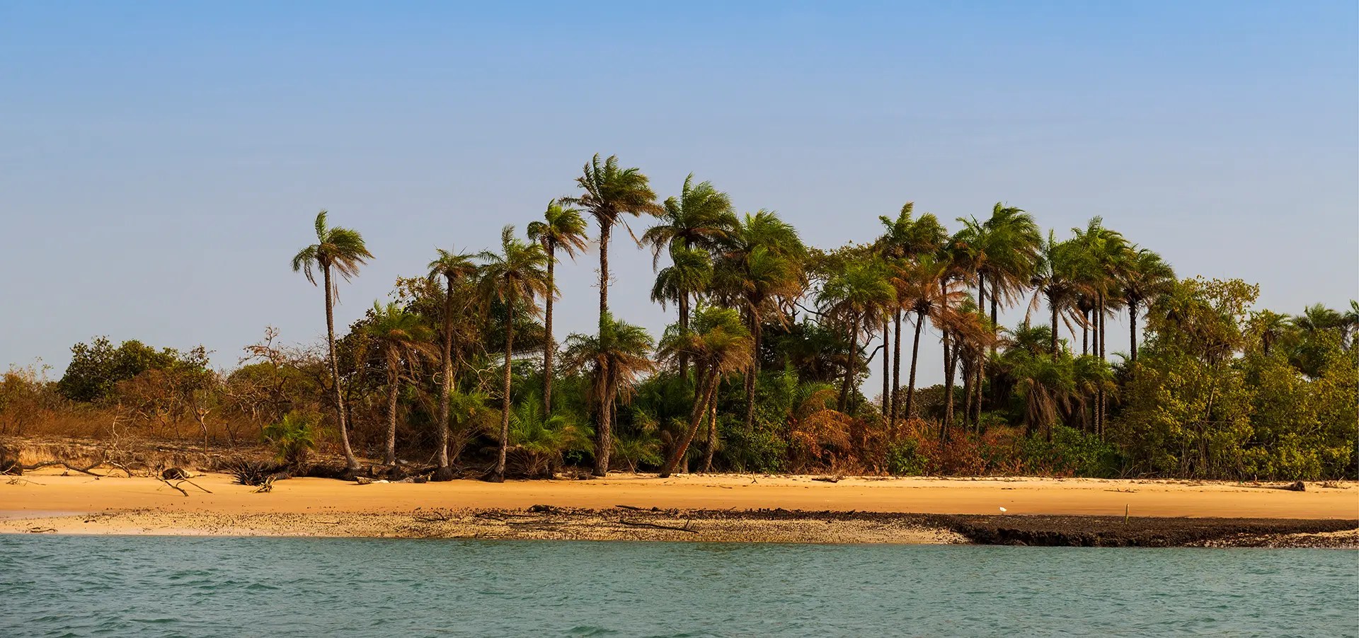 GuineaBissau Passport Visa Free Countries List 2024