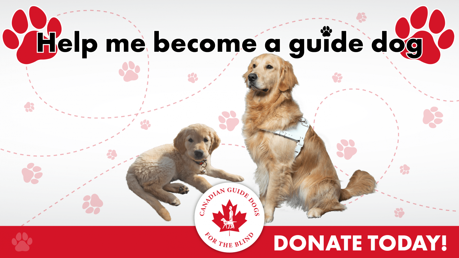 Canadian Guide Dogs for the Blind