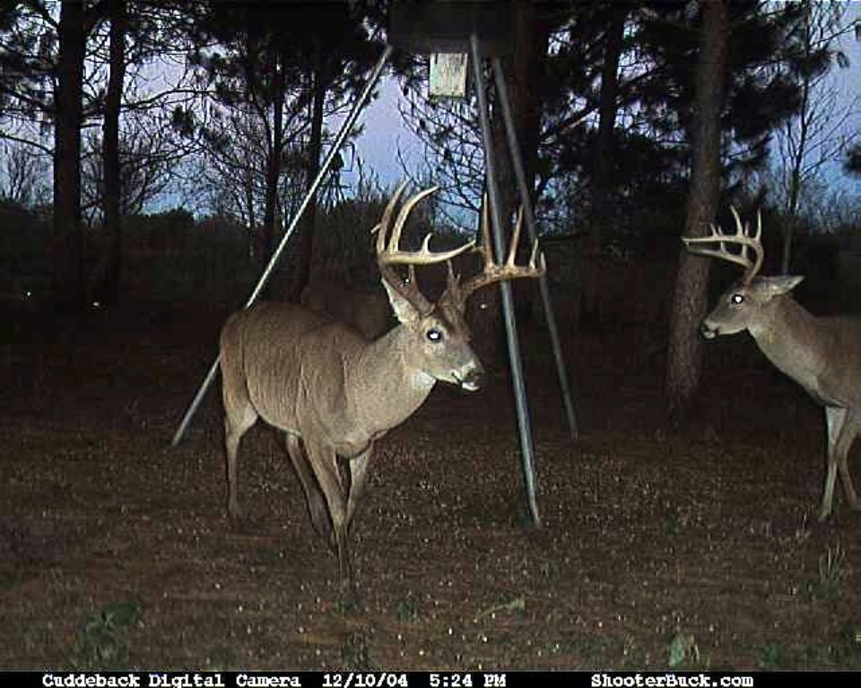 Avec Moi Charlie LeDoux Guided Ventures Hunt Trophy Louisiana Alligator
