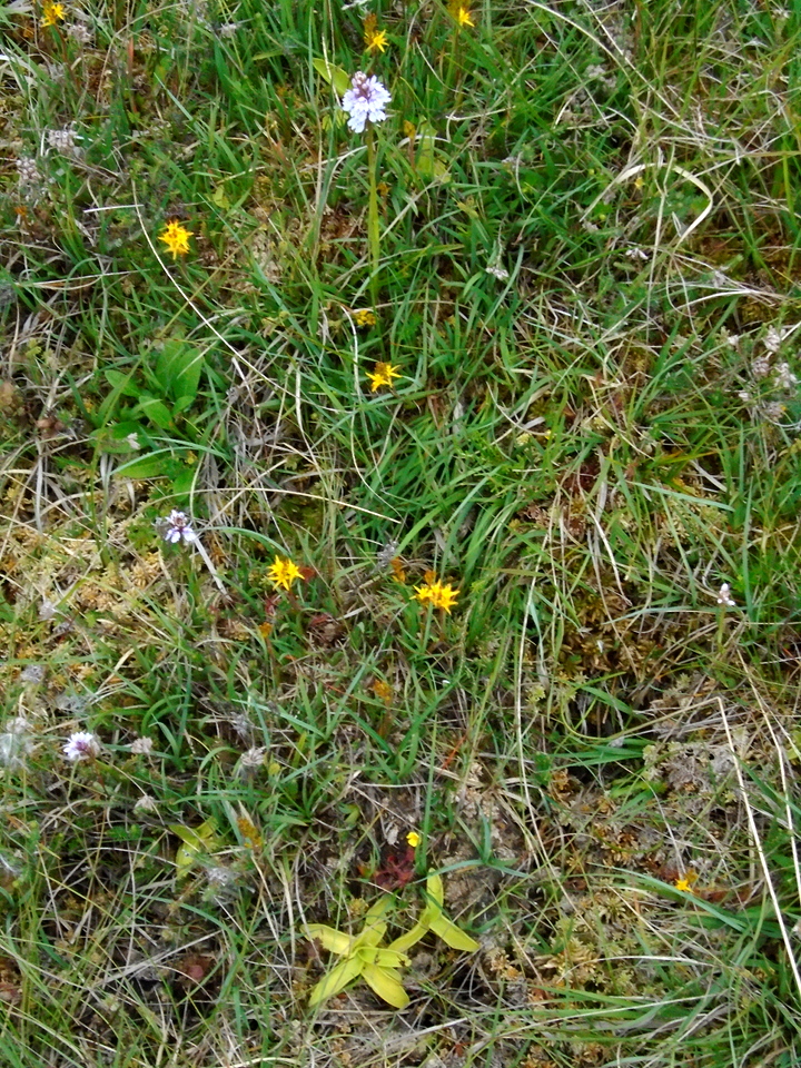 DSC00635