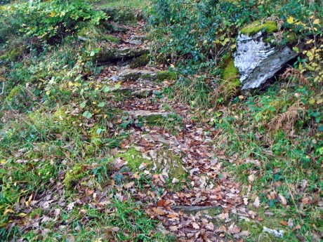 dsc01159-steps-1