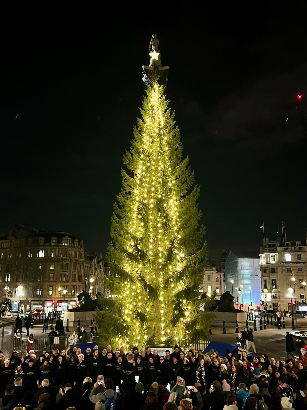 8 Christmas Trees in London for the 2023 Festive Season Guide London