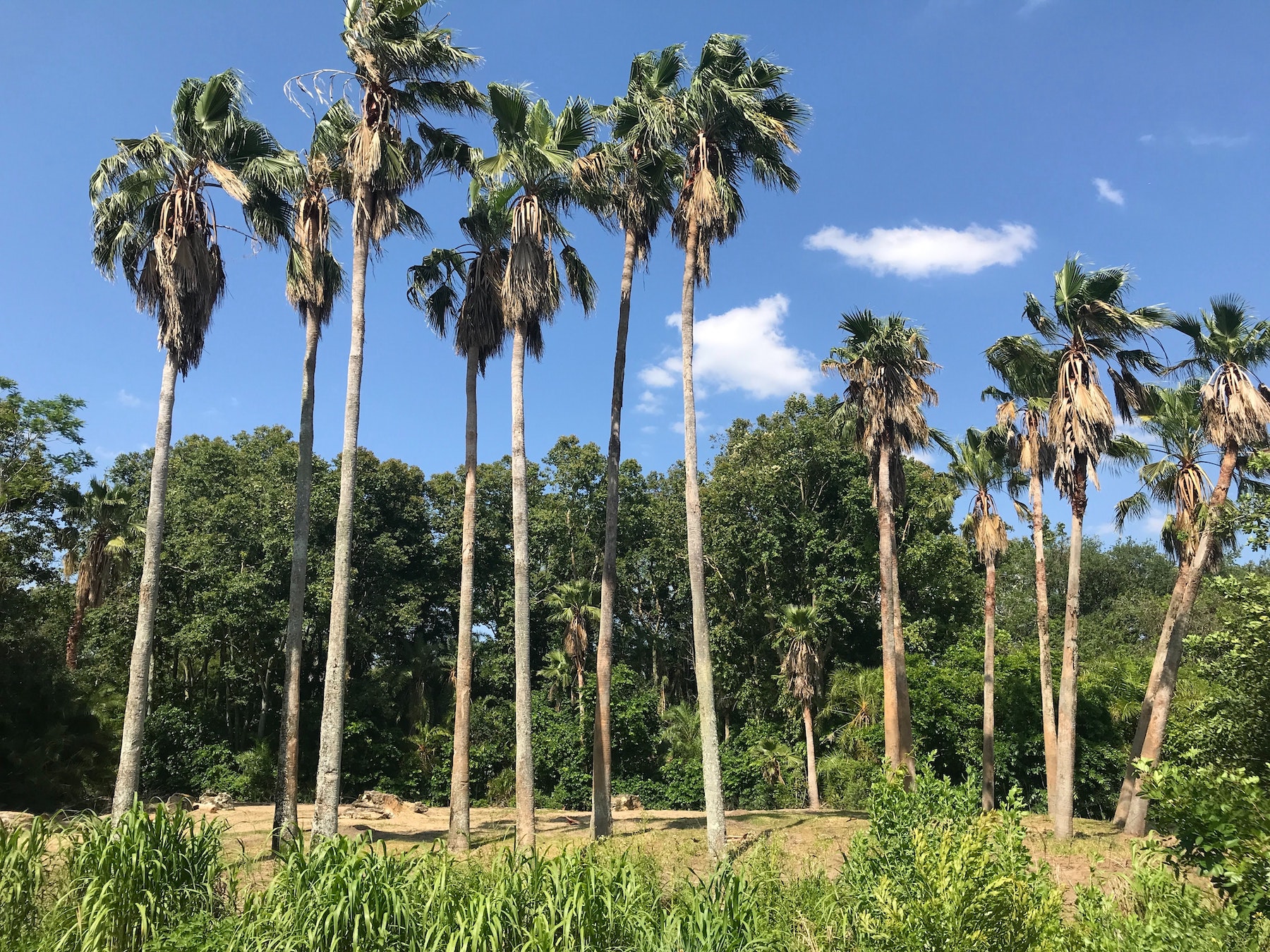 How to Buy Florida Land GuideLot