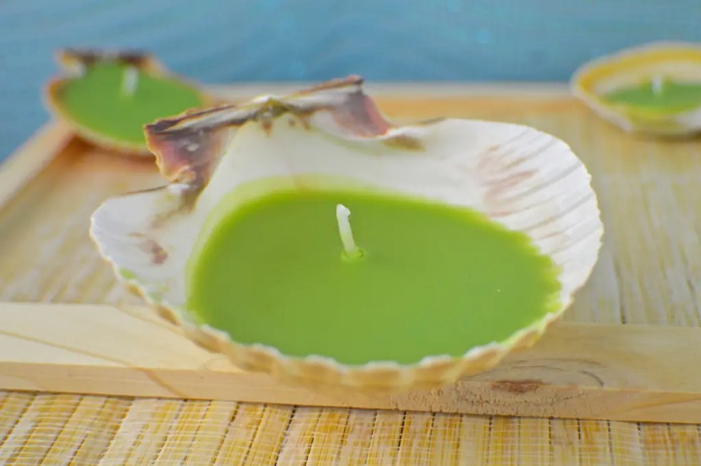 10+ DIY Seashell Candles and Holders Guide Patterns