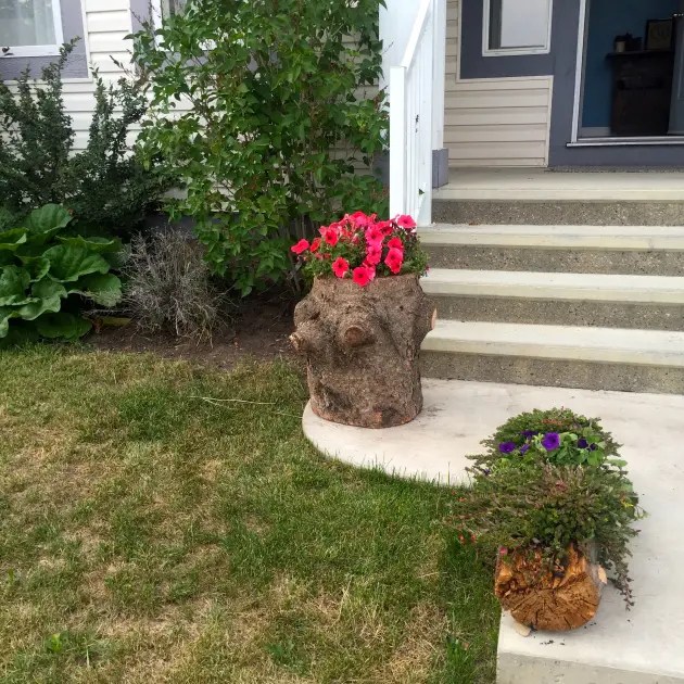 12 Ways to Build a Log Planter Guide Patterns