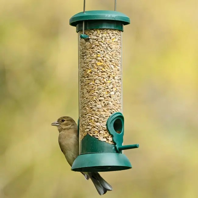 Bird Feeders Guide Patterns