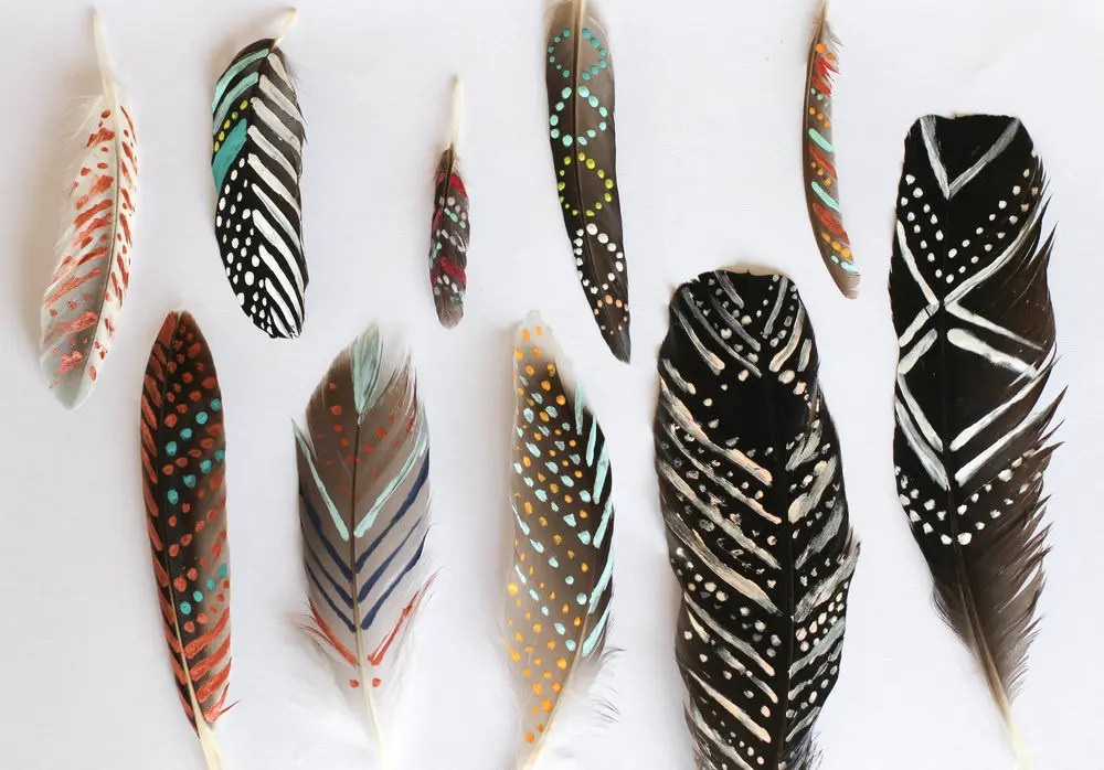 Painted Feathers 10+ Innovative Ideas Guide Patterns