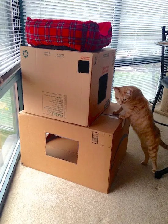 13 Cat Castle DIYs Guide Patterns