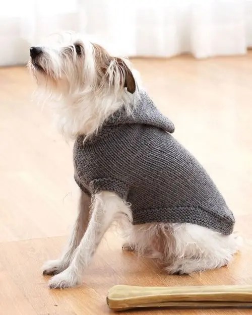 22+ free dog dress pattern MasoomHadeel
