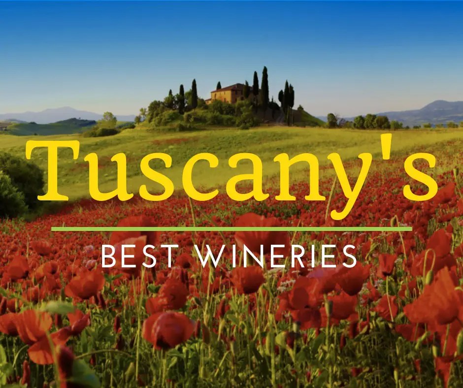 The 7 Best Tuscan Wineries You Can't Miss Guidester