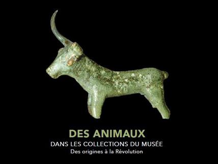 Rennes France Audioguide Gratuit Pour Iphone Et Android Des Animaux Dans Les Collections Du Musee