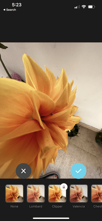 5 Best Collage Apps for Instagram Stories in 2022