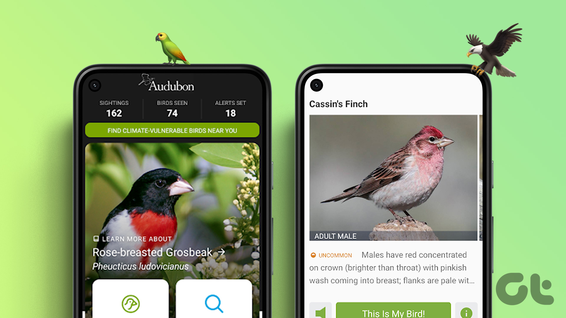Pecten Bird Watching App WNW, 47 OFF gbupresnenskij.ru