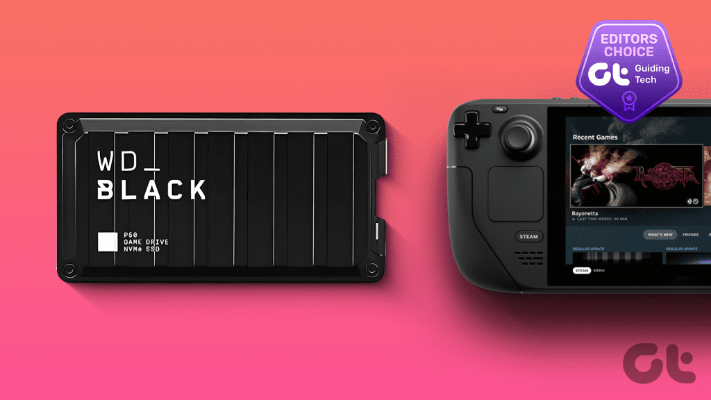 6 Best External Storage for Steam Deck golinew