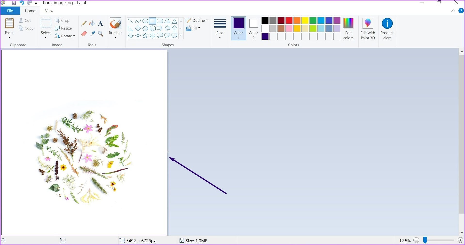 How to Add Borders to an Image Using Microsoft Paint