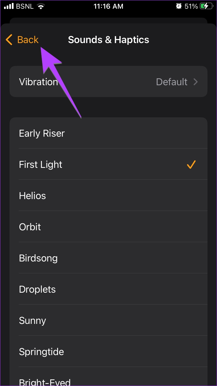 5 Easy Ways to Change Alarm Sound on iPhone Guiding Tech