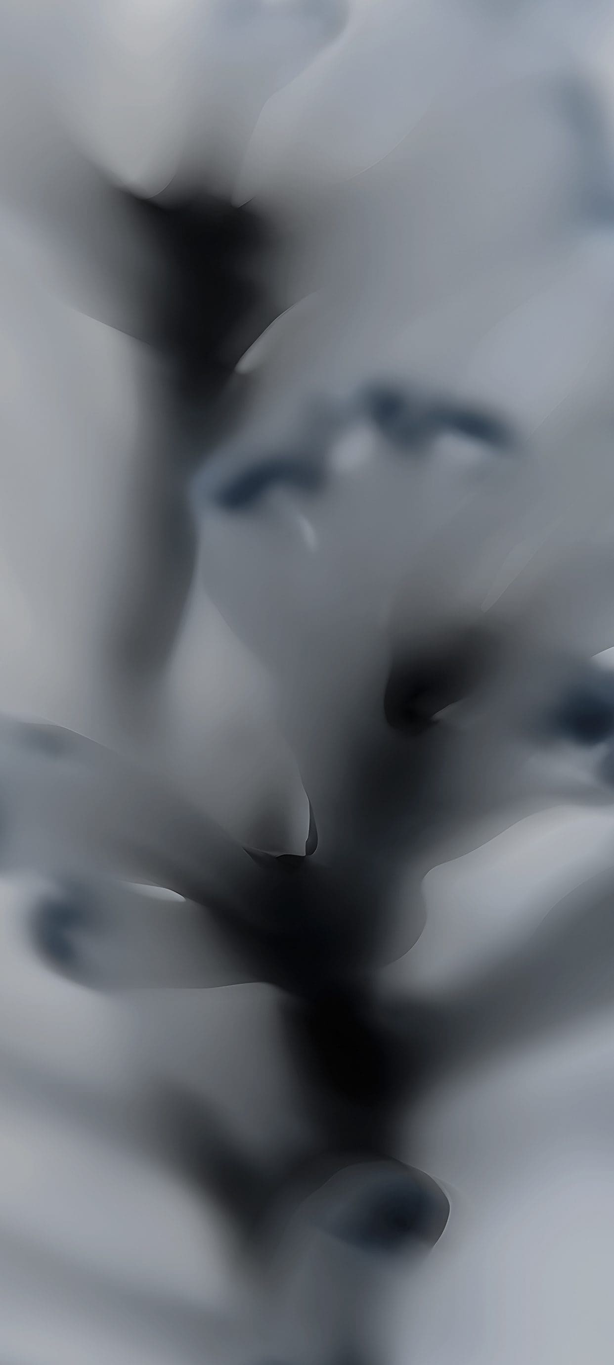 White Wallpapers For Mobile