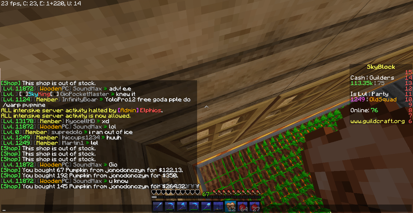SkyBlock All Villagers Disappeared GuildCraft Network Cracked