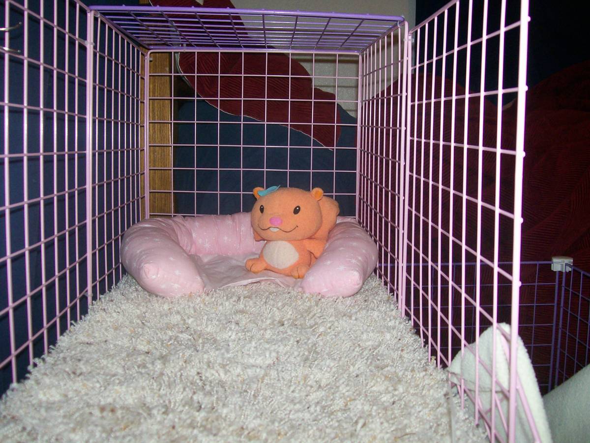 Bed Guinea Pig Cages