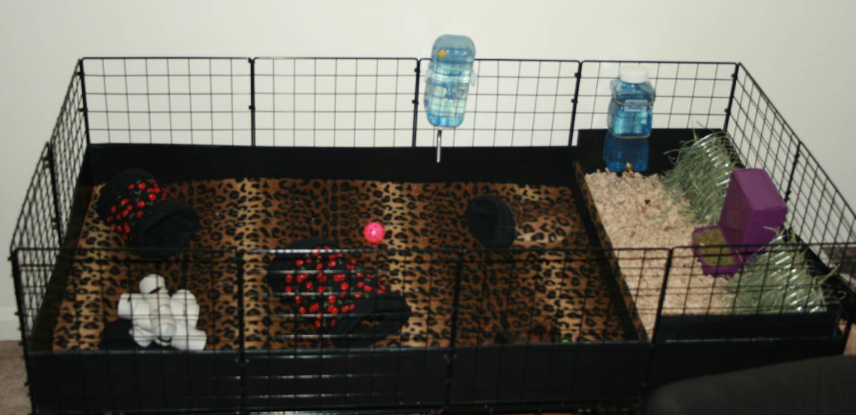 Cage002 Guinea Pig Cages