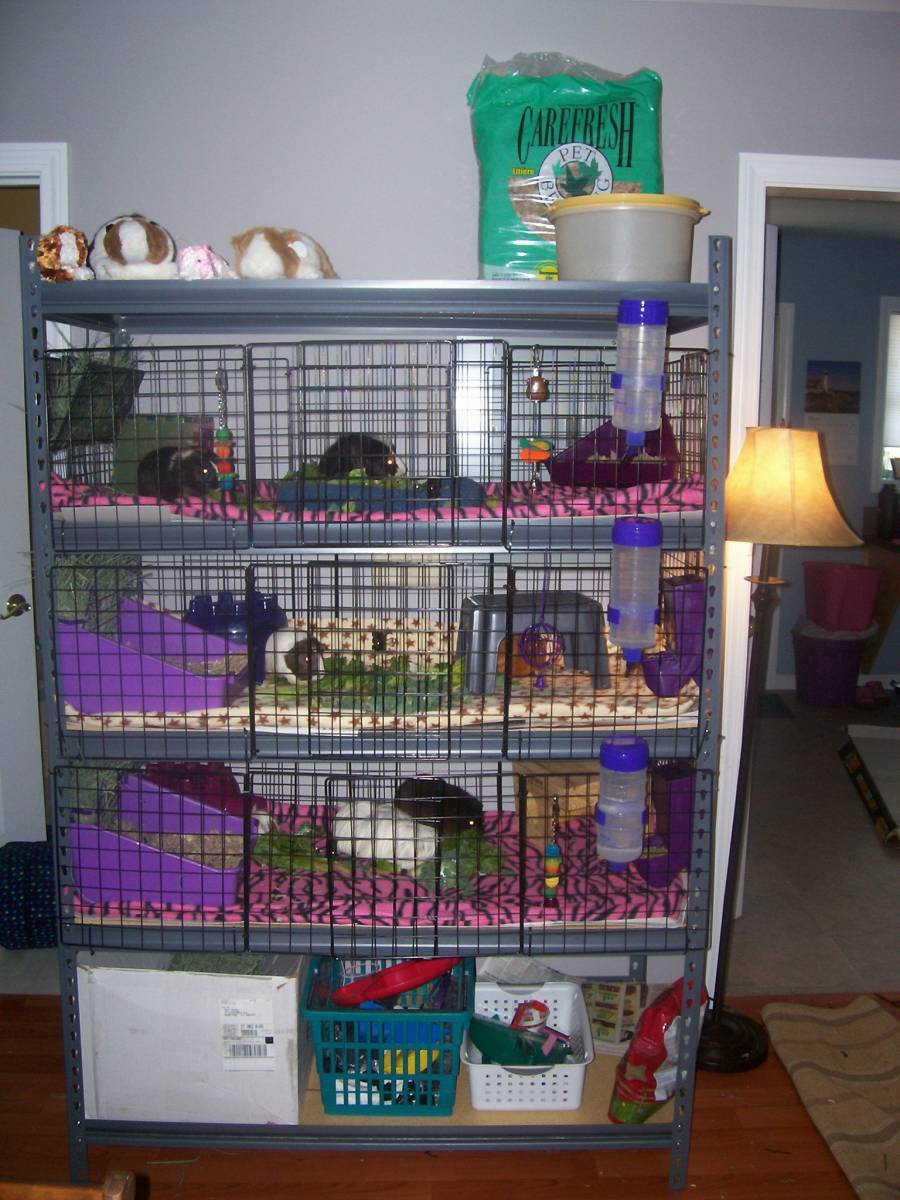 Cavy Condos Guinea Pig Cages