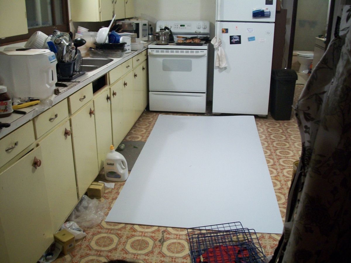 Coroplast Guinea Pig Cages