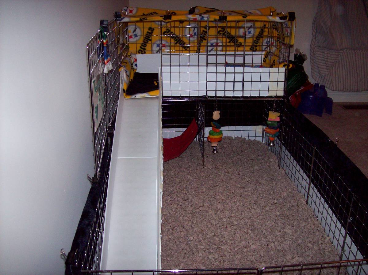 FINALLY FINISHED! Guinea Pig Cages