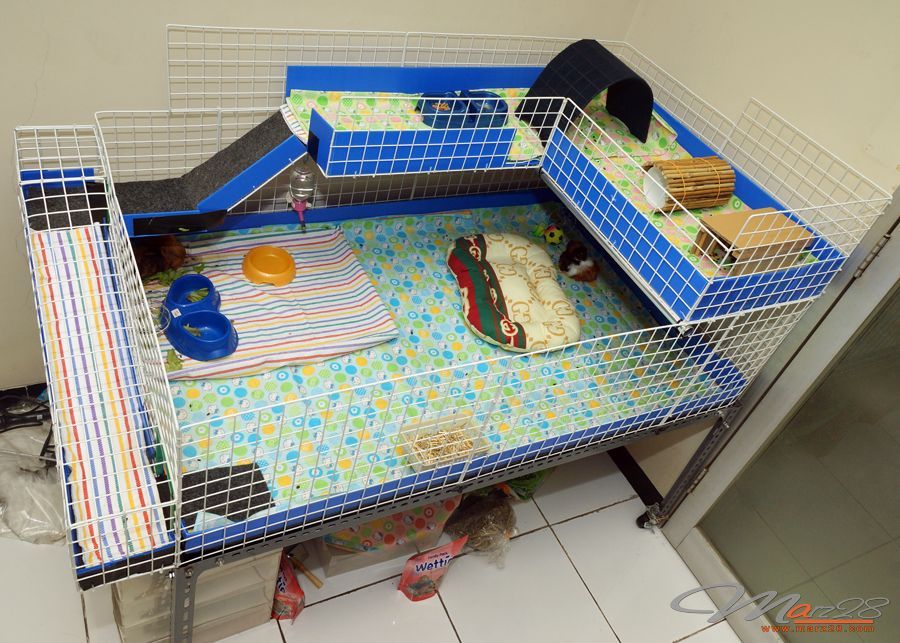 My GP Open Multi Level Cages Guinea Pig Cages