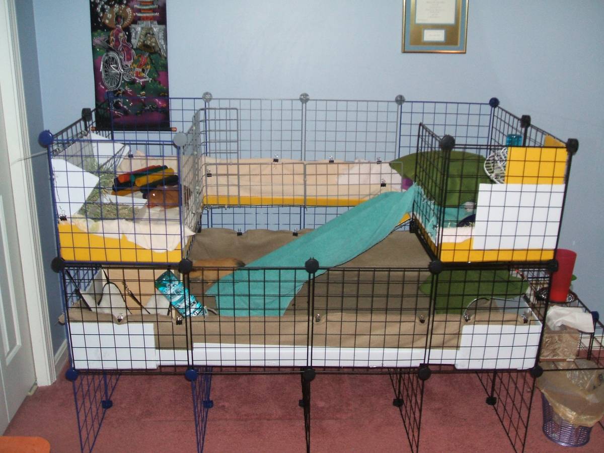 New second level! Guinea Pig Cages