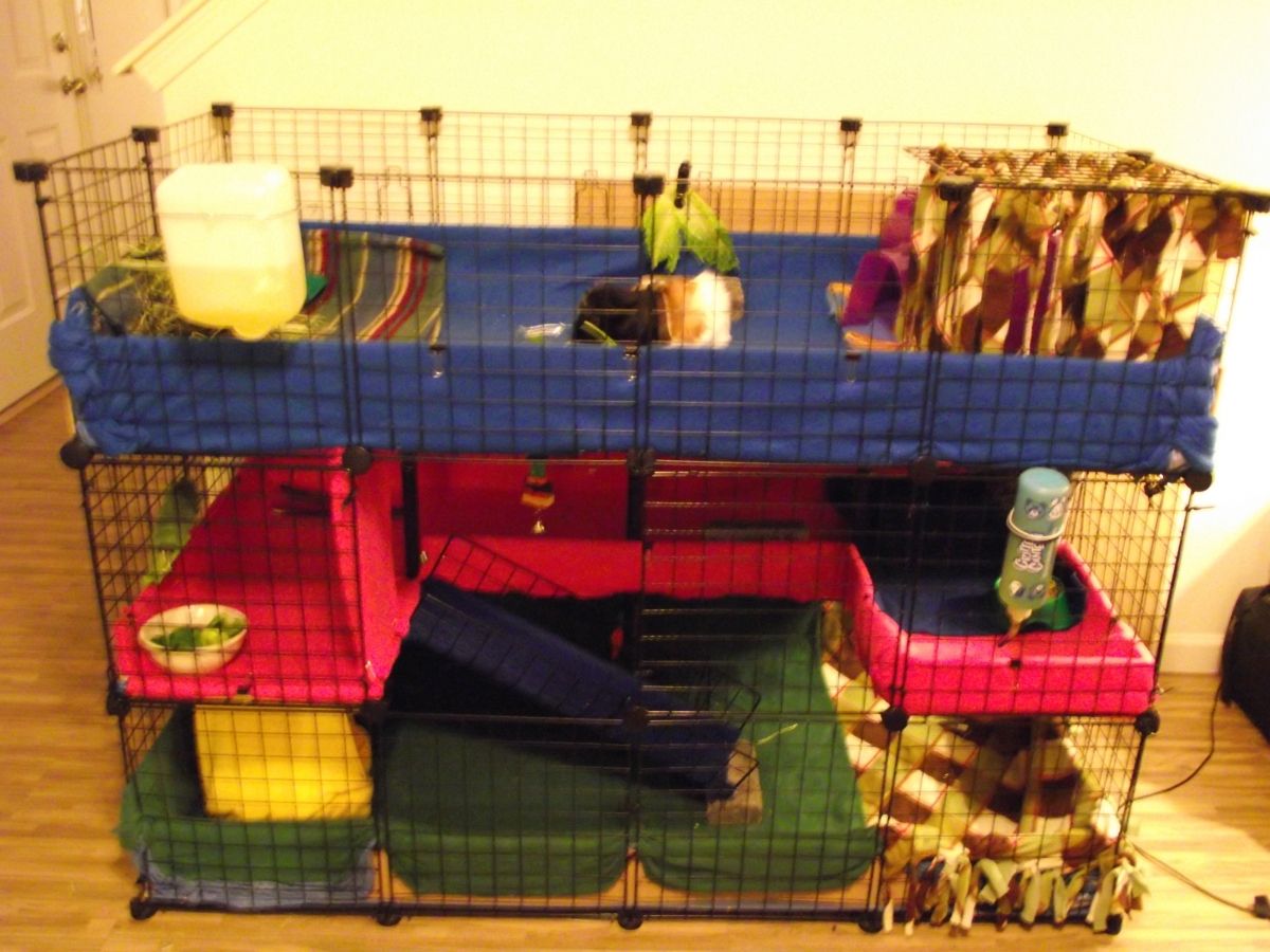 Open multilevel Guinea Pig Cages