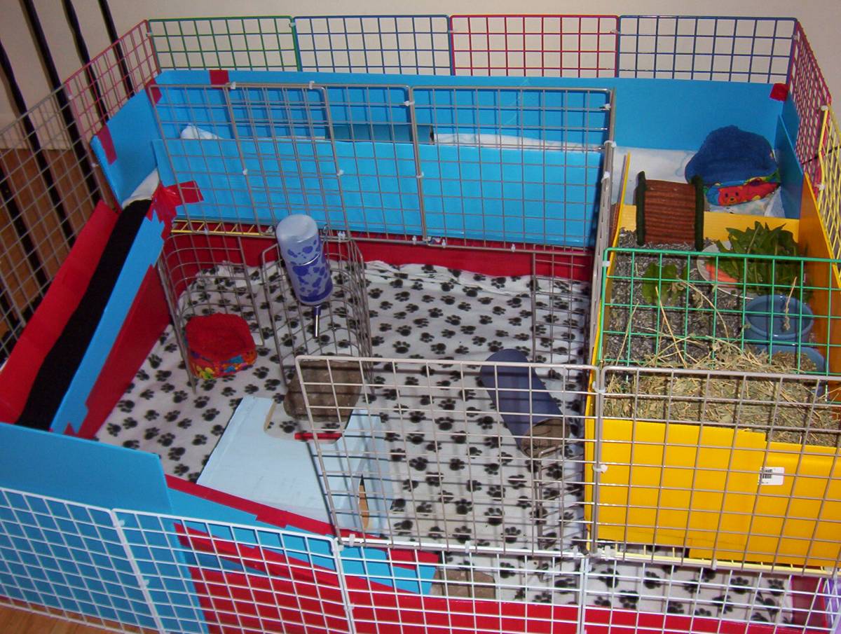 Second level Guinea Pig Cages
